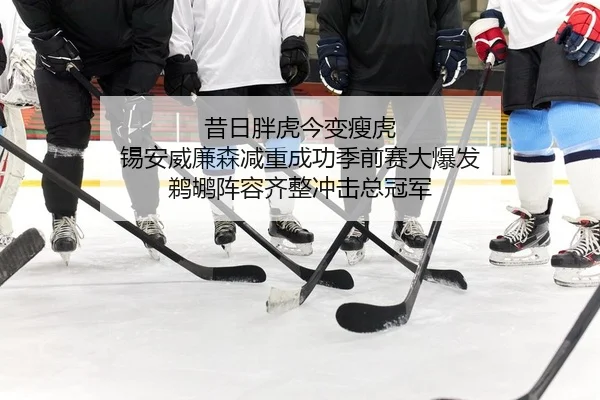 昔日胖虎今变瘦虎 锡安威廉森减重成功季前赛大爆发 鹈鹕阵容齐整冲击总冠军